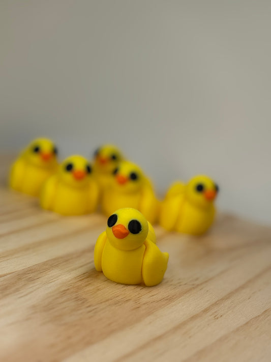 Mini Duck