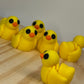 Mini Duck