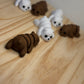 Mini Bear